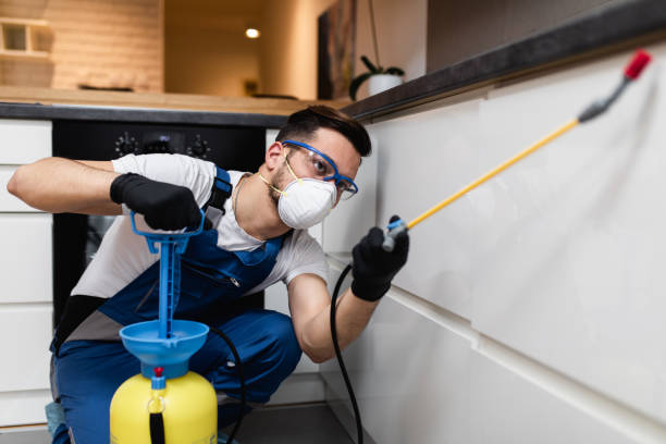 Best Emergency Pest Control  in Middletown, OH