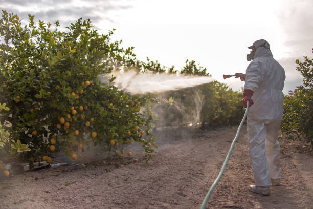 Best Pest Control Near Me in Middletown, OH