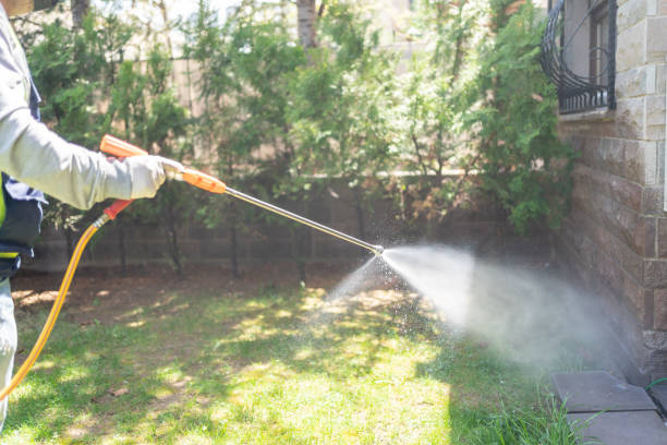 Best Insect Control  in Middletown, OH