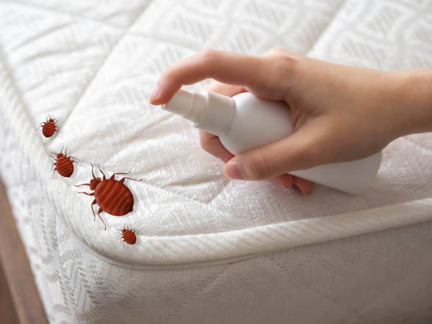 Best Cockroach Control Services  in Middletown, OH