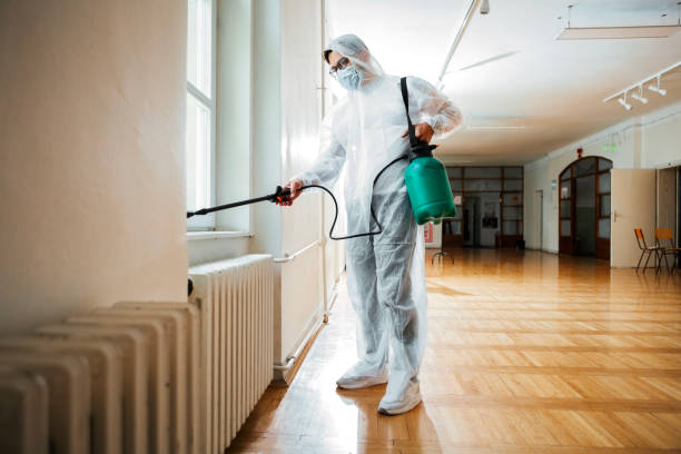 Best Termite Control Services  in Middletown, OH
